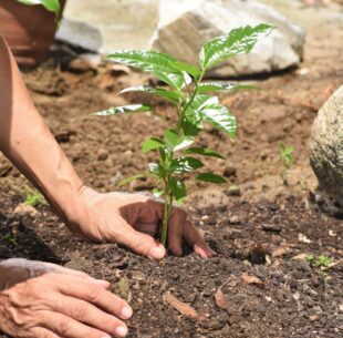 Environmental Protection
