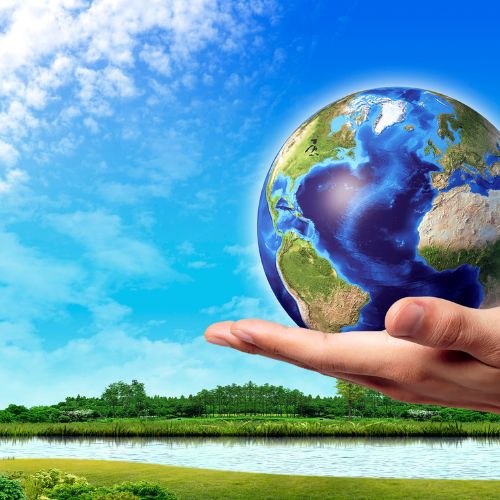 10 simple ways to reduce your carbon footprint on World Environment Day